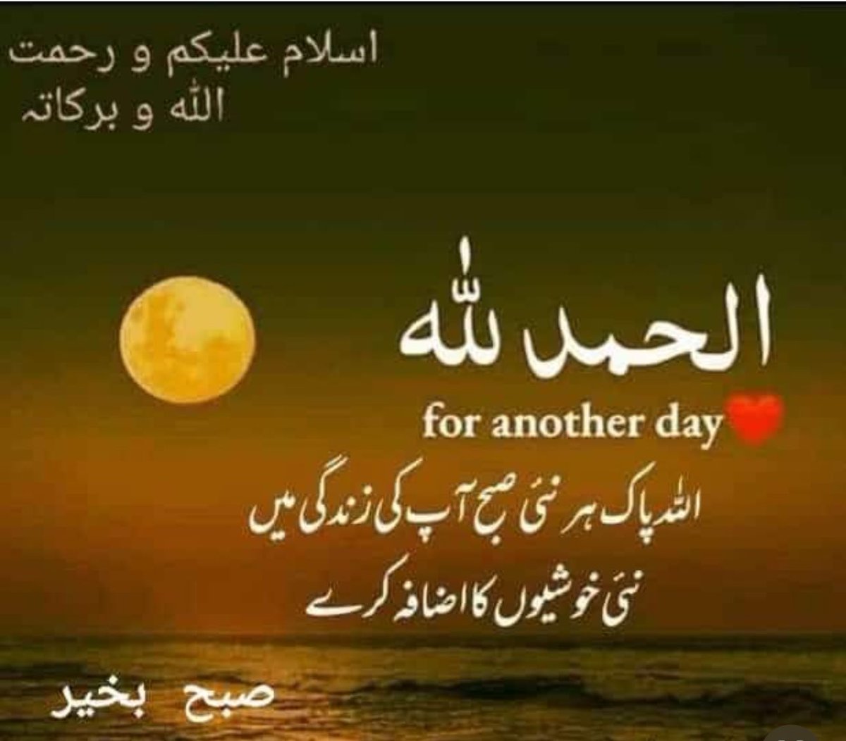 rai_farook's tweet photo. https://t.co/bEsnzLzQgS