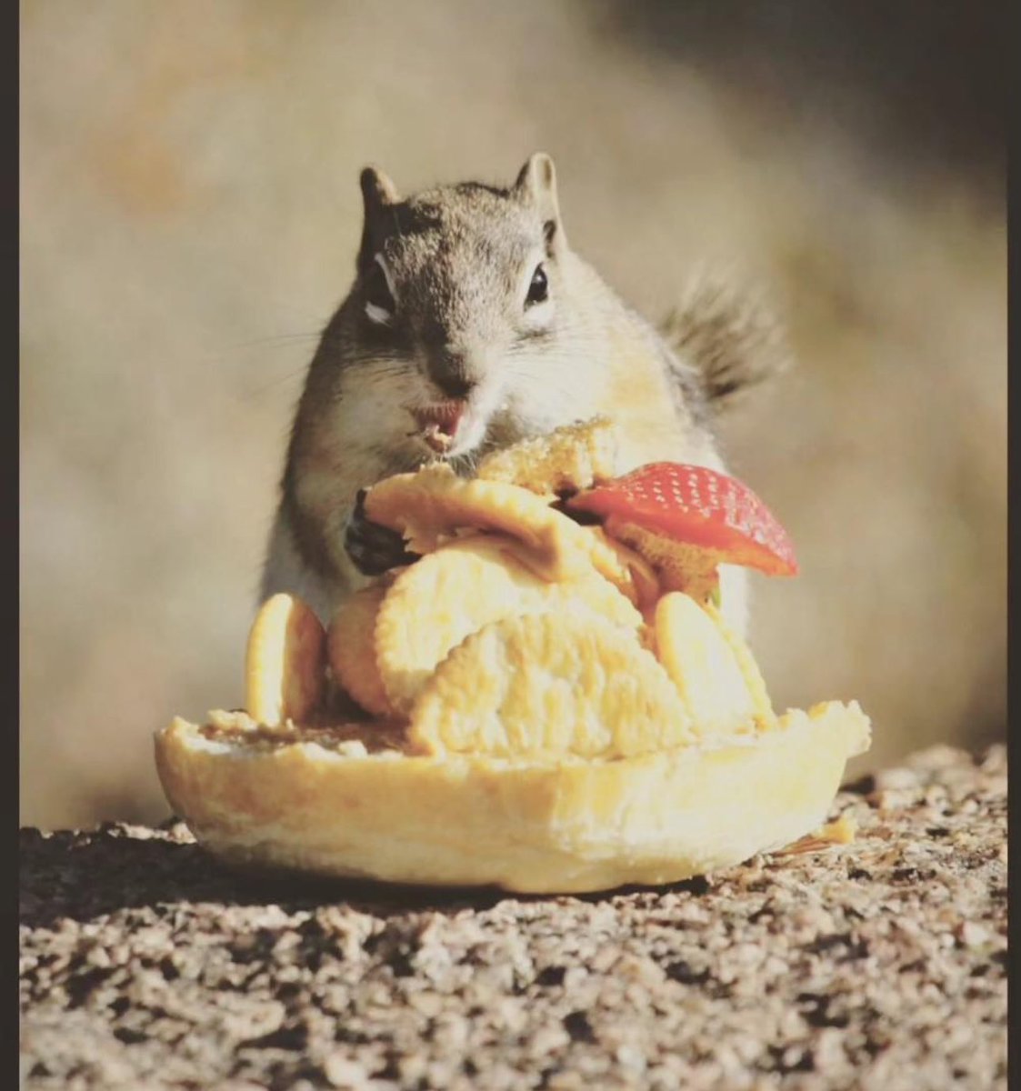 vonchisss's tweet photo. ya en vdd hay que empezar la dieta el lunes 🫣😅 https://t.co/xBkNehqtz3
