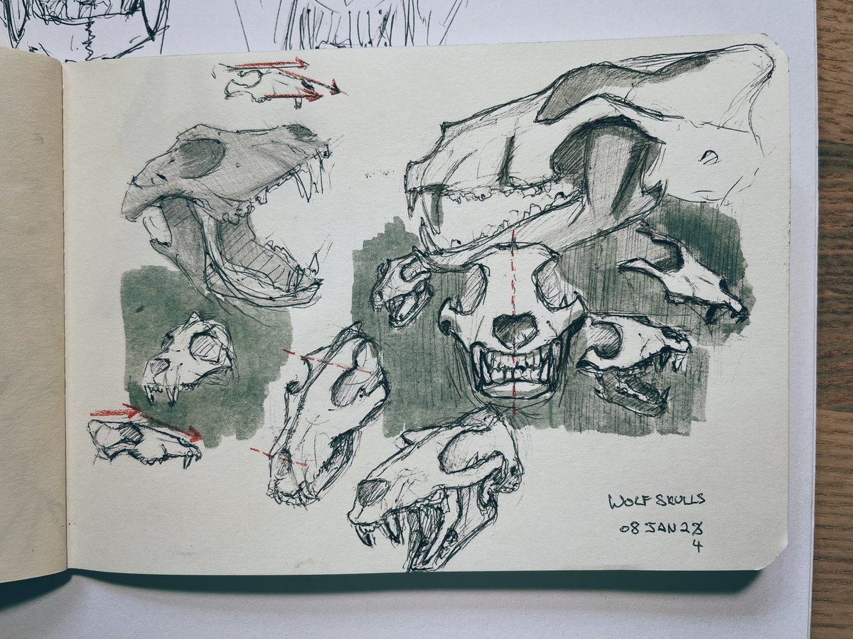 Anubis types and skully dogs