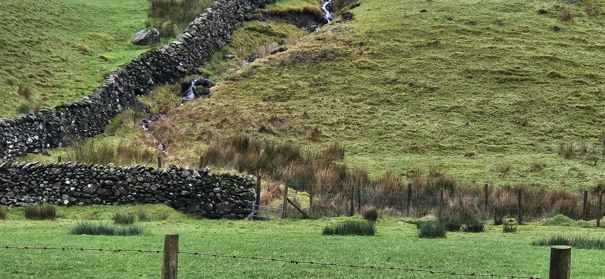 A more insidious situation! This valley tributary is culverted, flowing rapidly into the river with no floodplain interaction whatsoever. Lots of tributaries disappear in this way and in combination increase flood risk downstream. Naturalise these to reduce flood risk. SIMPLE..