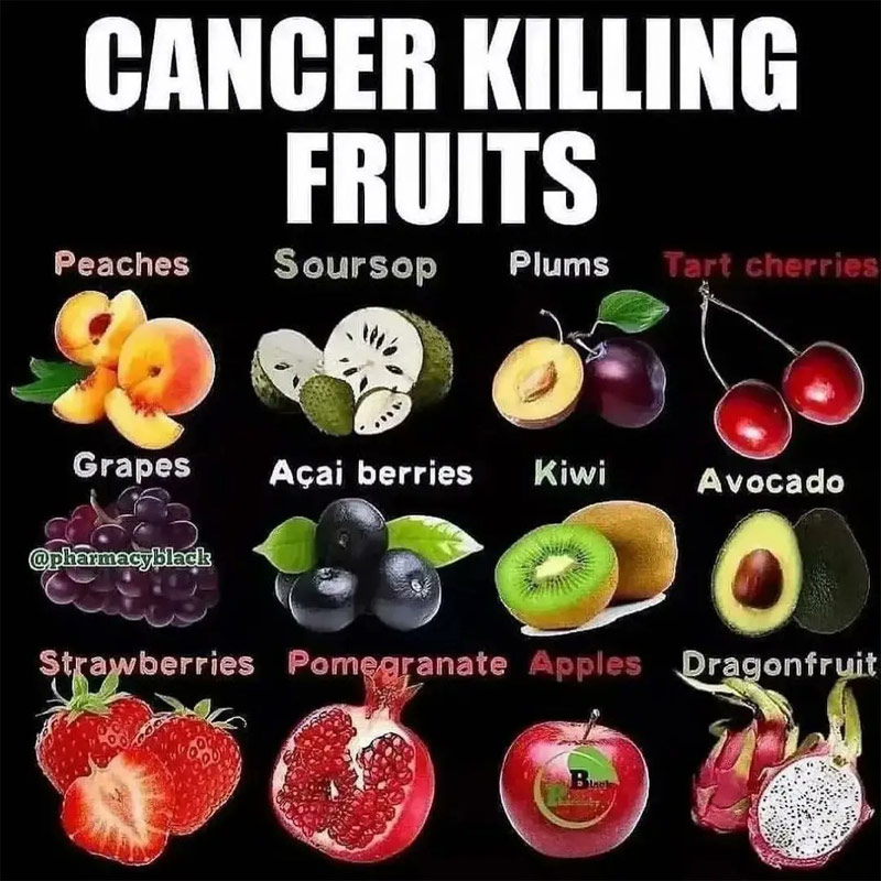 OrganicLiveFood's tweet photo. no disease including cancer can survive in an alkaline environment. Foods that can help to kill or feed #cancer cells: 
https://t.co/UOVkKBVaOS