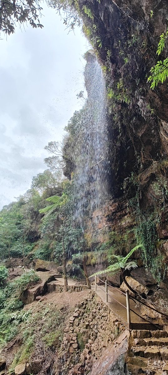 DrSatyaAbhishe1's tweet image. Why waste our money on a trip to Maldives??? Let's promote the North-East. Absolutely worth it 💯💯
#BoycottMaldives #Gonortheast