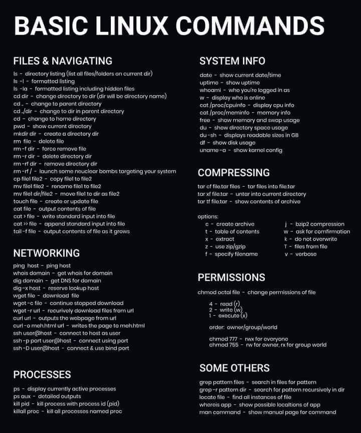 Python_Dv's tweet image. Basic Linux Commands for Programmer morioh.com/a/6ee6ade0b3a4

#linux #commands #unix #ubuntu #python #programming #developer #morioh #programmer #softwaredeveloper #webdev #webdeveloper #webdevelopment #pythonprogramming #pythonquiz #ai #ml #machinelearning #datascience