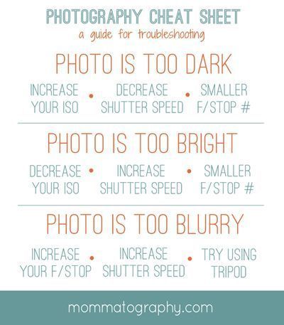 Photography Tips & Ideas
 #JustGoShoot #InstaGood #InstaPhoto #PicOfTheDay #PhotoOfTheDay #Photogram #Capture #PhotographyDaily #PhotographyIsLife #iPhoneography #Camera #Composition #Photoshop #aestheti