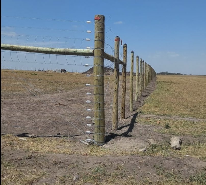 polo_kimanii's tweet photo. Another project coming along nicely,

5Acres electric fencing in Machakos

Budget is 940,000ksh

Tell your bosses about https://t.co/by9FEIJoEl

Hapa hatubahatishi kazi https://t.co/37wt470P28