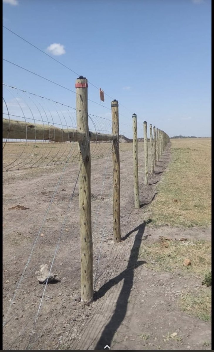 polo_kimanii's tweet photo. Another project coming along nicely,

5Acres electric fencing in Machakos

Budget is 940,000ksh

Tell your bosses about https://t.co/by9FEIJoEl

Hapa hatubahatishi kazi https://t.co/37wt470P28