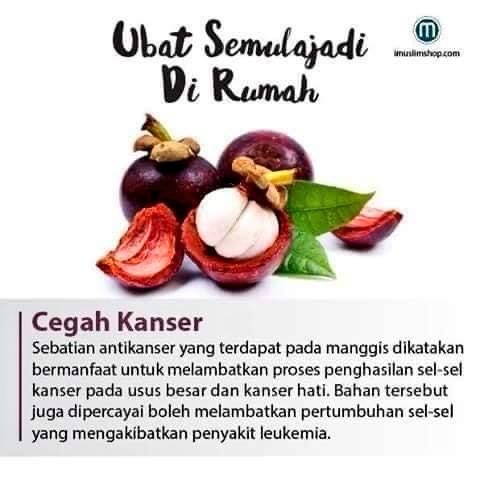 joeboyking93's tweet photo. Jangan pernah sesekali mempertikaikan petua² orang dahulu.. 

Kita as a generasi moden ni, tak serious langsung nk ambil tahu ttg ilmu orang² lama ni.. Bila sakit sikit je, cari ubat tu, makan ubat ni.. 

Tumbuh- tumbuhan ini dicipta, bukan saja2, semua ada khasiatnya..

📌THREAD https://t.co/H3wmejLWRG