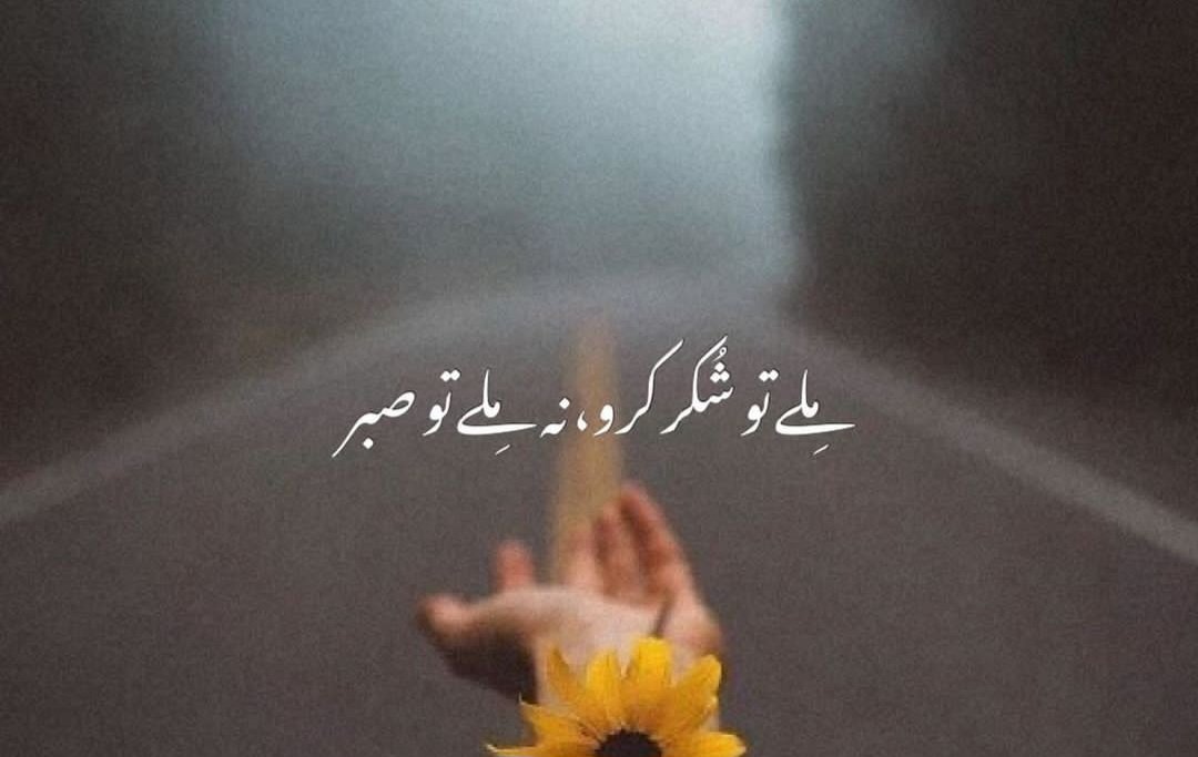 Umer Mahmood🇵🇰 tweet media