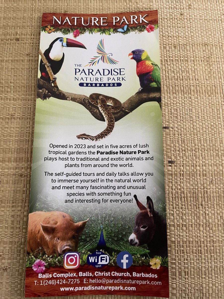 Barbadoshouse's tweet photo. Love animals? When you are in Barbados go and see The Paradise Nature Park located  at Balls Complex , in Balls on the south of the island in the parish of Christ Church. A 5 acre park with lovely tropical gardens. A great day out for the family. enjoy!!!
https://t.co/Cb93PgNfAx https://t.co/JSwijxXT1A