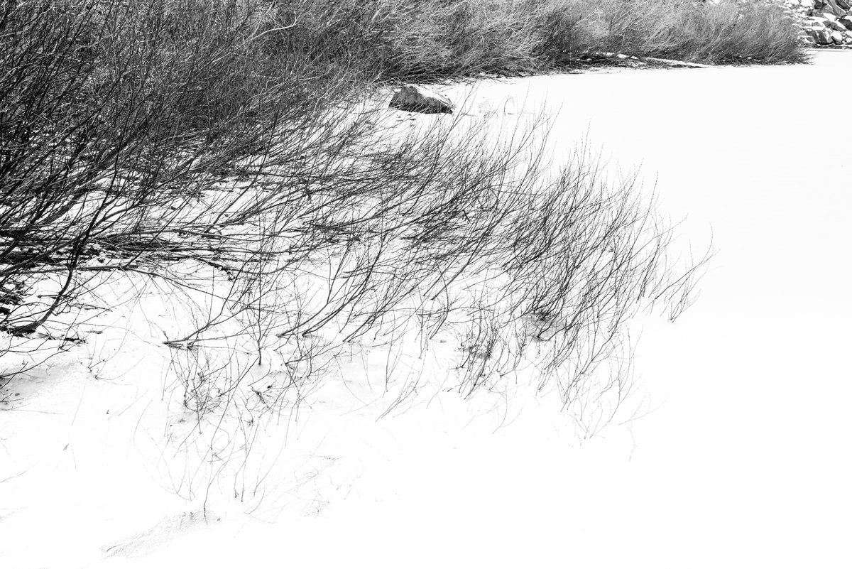 Etienne Desclides tweet media