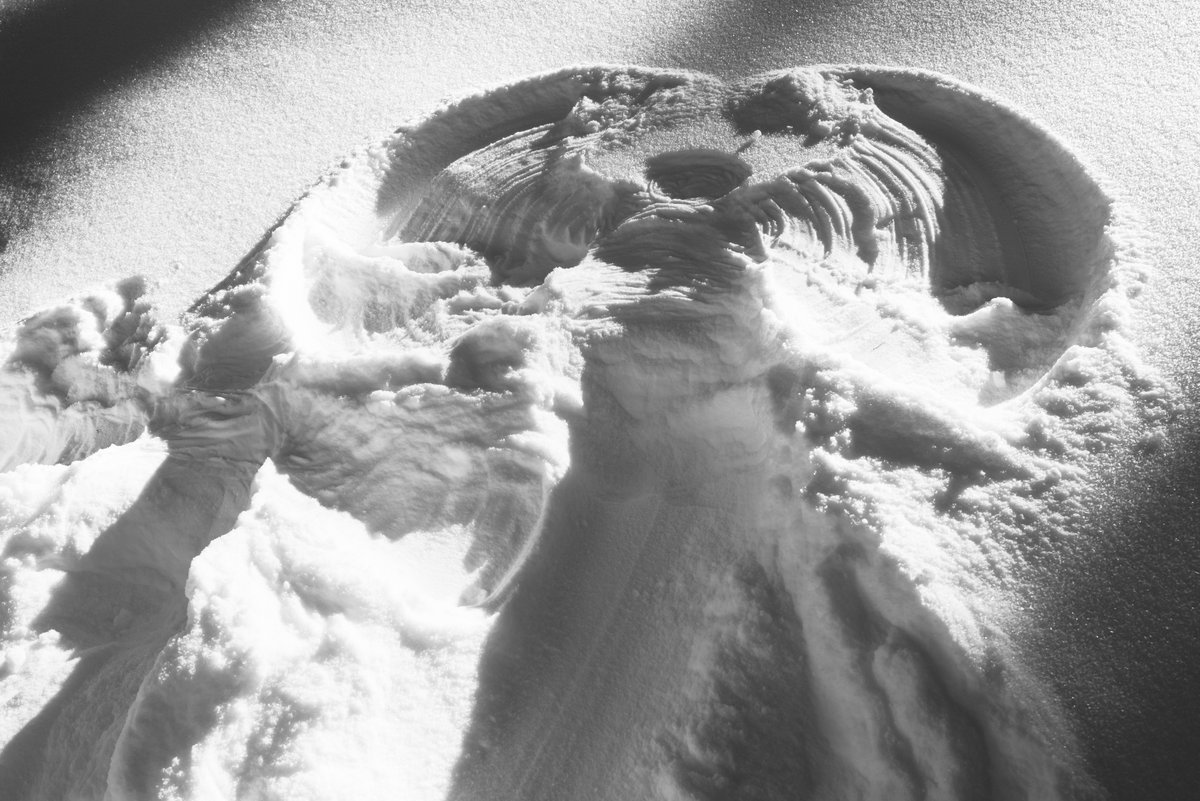 Etienne Desclides tweet media