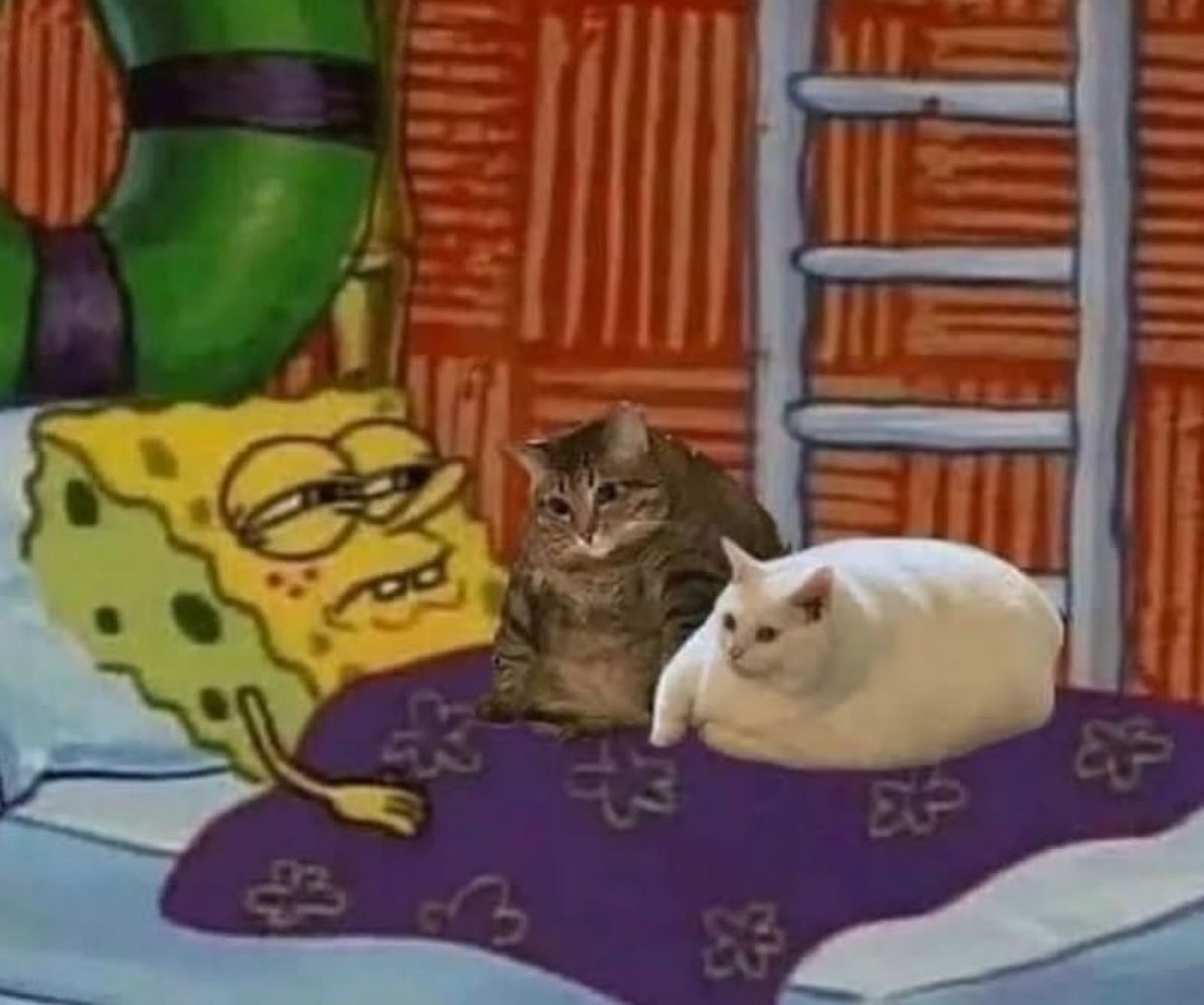 How am I supposed to go to work when I wake up like this?