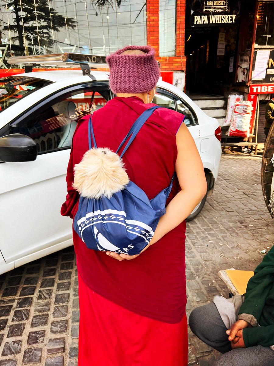 bobbydevito's tweet photo. Life is uncertain. Bring your own cuteness with you ❤️

#dhasa
#freetibet
#becausedogs https://t.co/bLwMO5X62U