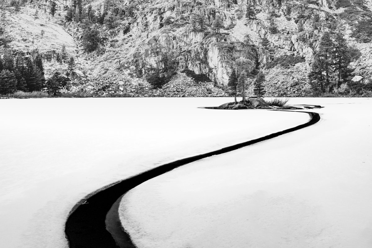 Etienne Desclides tweet media