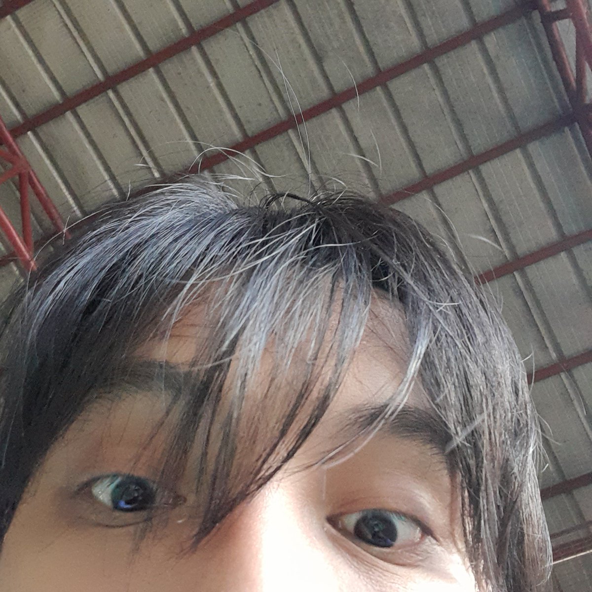 neroxcaligula's tweet photo. wag nio na baratin pls https://t.co/pUSoWOOse5