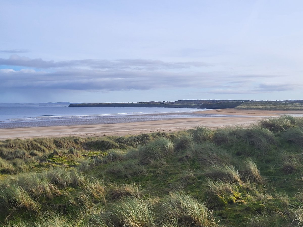 Down in Mullaghmore, Sligo
inishview.com/activity/mulla…

#Sligo #wildatlanticway #LoveSligo #KeepDiscovering #visitSligo #bestofnorthwest #LoveThisPlace #visitireland #discoversligo #govisitdonegal #discoverireland #ireland #photography