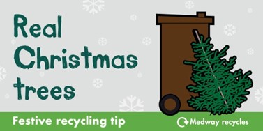 🎄Don't forget, you can leave real Christmas trees next to your brown bins for collection, with regular collections resuming from the 8 January📆