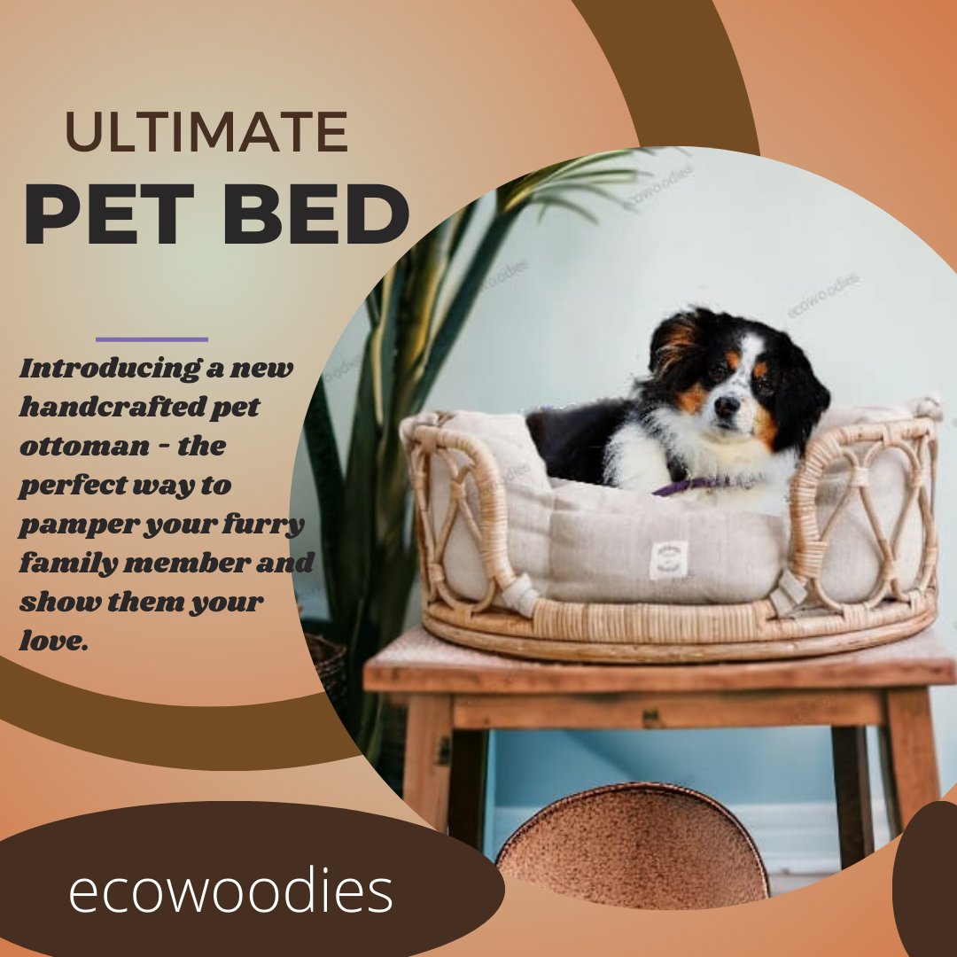 Elevate your pet's lounging experience today!  Perfect for pet lovers seeking sustainable comfort and chic design for their beloved companions #ecowoodies
#EcowoodiesPetBeds #BambooRattanComfort #HandcraftedLuxury #SustainablePetLiving #BambooPetBeds #EcoFriendlyPets
