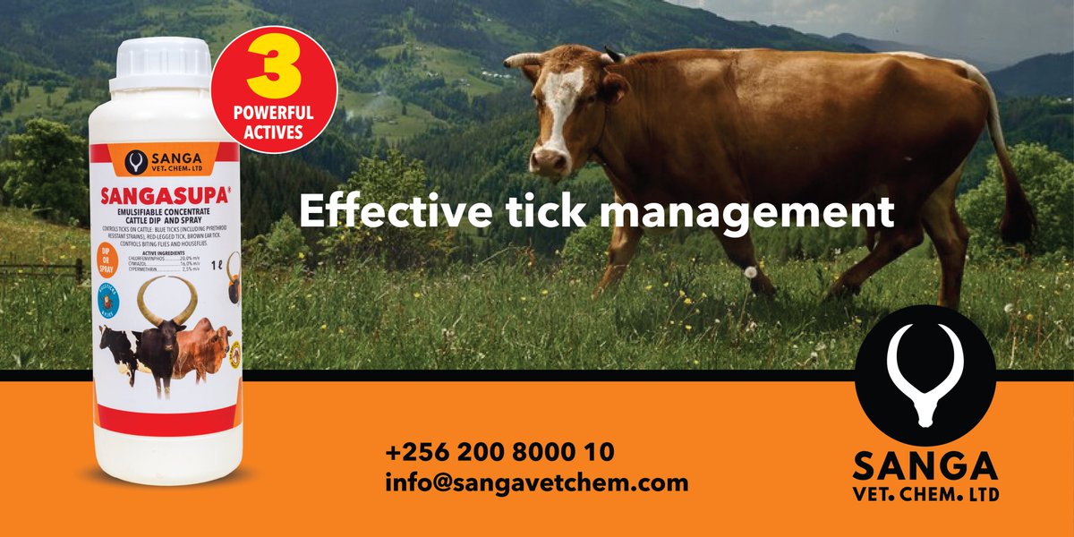 sangavetchem's tweet photo. SANGASUPA is a powerful solution for tick management. It
contains Chlorfenvinphos, Cymiazol, and Cypermethrin to
tackle various tick species. Use 33ml of SANGASUPA for every 20L of water and make sure to wet the entire animal completely. Dip every week.
#TickControl #CattleHealth #Sangasupa #Sanga