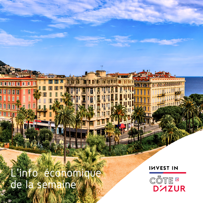 InvestCotedAzur's tweet photo. Cette semaine dans notre newsletter ⤵
🎓 Projet de campus international à Cagnes-sur-Mer
🏛️ MED'INNOV a été lancé
🌊 #FrenchBlueTech : 4 startups azuréennes sélectionnées
🎥 82% de hausse de l'activité cinématographique en 2023
➕ https://t.co/SrgWQliXdB
#investinCotedAzur https://t.co/0RqBJsmuyi