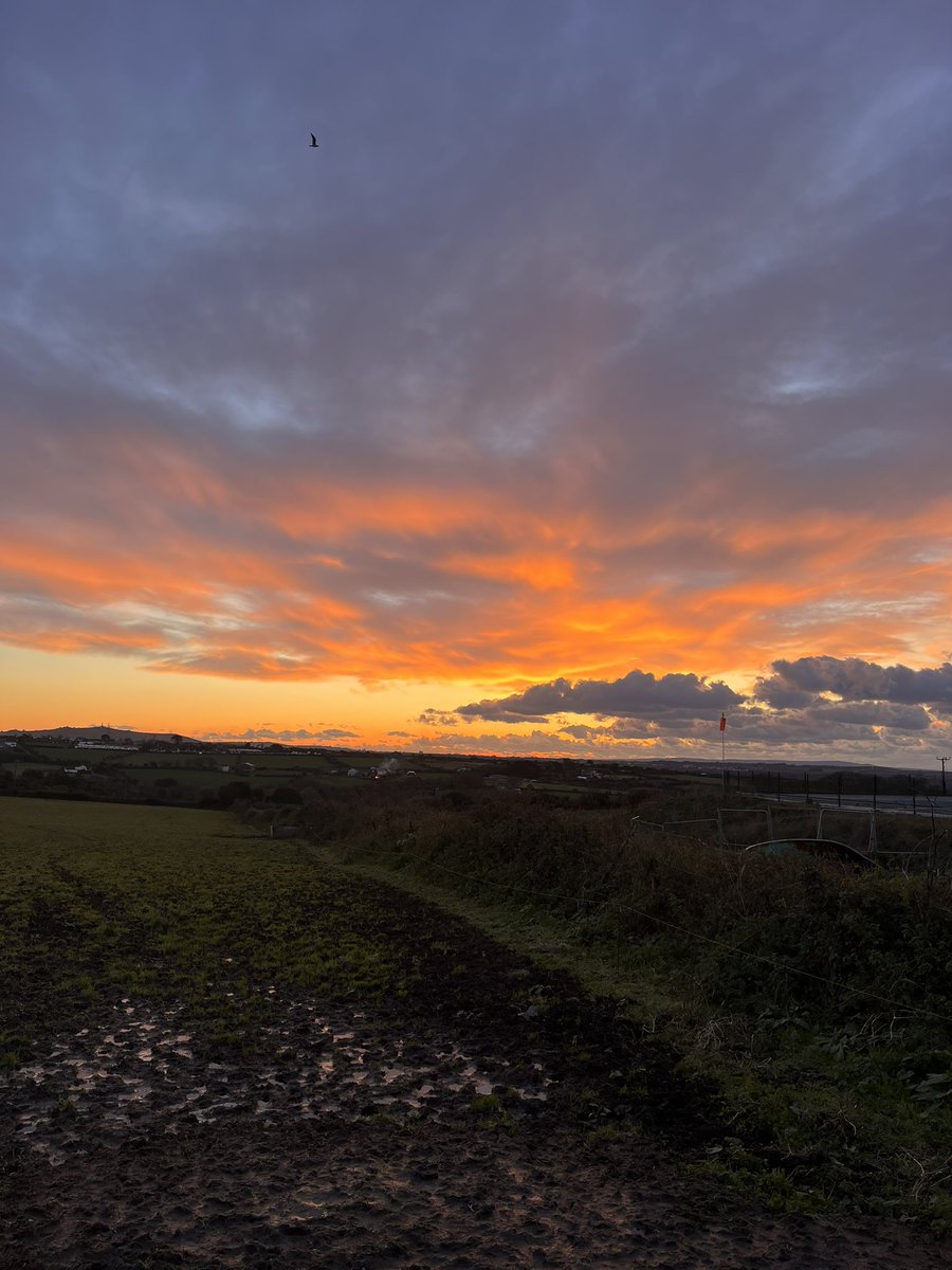 Joshnicholls20's tweet photo. There’s still beauty in the winter sun! A few evening ago sunset, not all doom and gloom!😂 #sunset #kernow #Cornwallsunset https://t.co/3mFFCwXuye