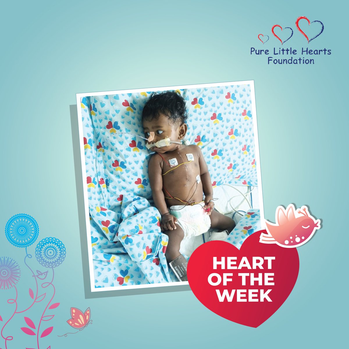 PLHFfoundation's tweet photo. Commemorating the remarkable odyssey of a courageous young champion from the Pure Little Hearts Foundation, conquering a life-threatening illness. Join us in applauding the strength and the indomitable spirit that transformed a fight for survival into a triumphant journey! https://t.co/b7mmrI9fyx