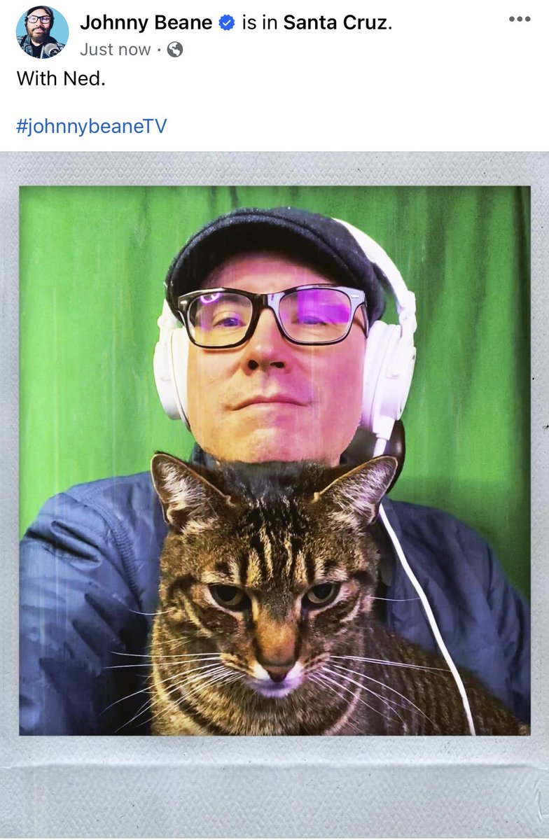 realjohnnybeane's tweet photo. With Ned. 

#johnnybeaneTV #santacruz #catselfie @howiebeane @johnnybeanetv https://t.co/cK3TMXl6F9