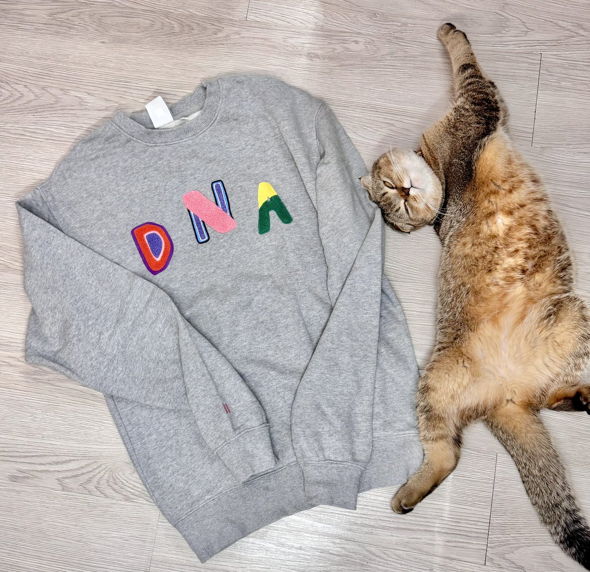 JKayeJEON's tweet photo. BTS pop-up store

Pre-loved Sweater and Hoodie

Idol blue - 650
9.5/10 Used once

DNA yellow - 500
7.5/10

DNA grey - 1000
9.5/10 Used once

Love pink - 700
8/10

PS: cat not for sale 😂 https://t.co/06QomIvszr