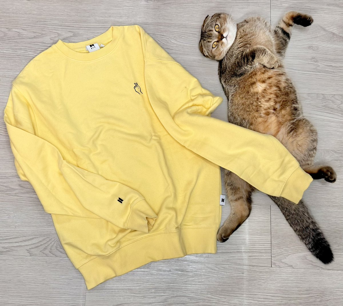 JKayeJEON's tweet photo. BTS pop-up store

Pre-loved Sweater and Hoodie

Idol blue - 650
9.5/10 Used once

DNA yellow - 500
7.5/10

DNA grey - 1000
9.5/10 Used once

Love pink - 700
8/10

PS: cat not for sale 😂 https://t.co/06QomIvszr