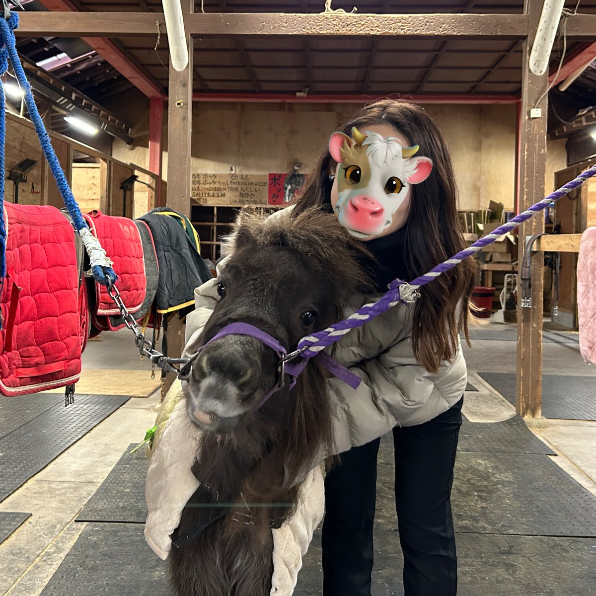 牛タンちゃん (@onakaippai_damo) / Posts / X