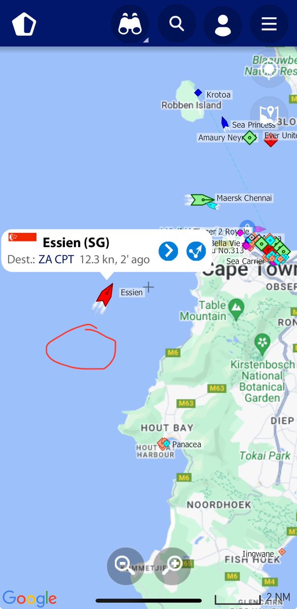 SeafariApp's tweet image. Humpback #whale supergroups feeding off #CapeTown &amp;amp; ships continue to travel at excessive speed. #Essien was just confirmed to have motored right through a pod of 50 whales by a very experienced spotter. High speeds kill whales #shipstrike @BarbaraCreecy_  @CityofCT @geordinhl