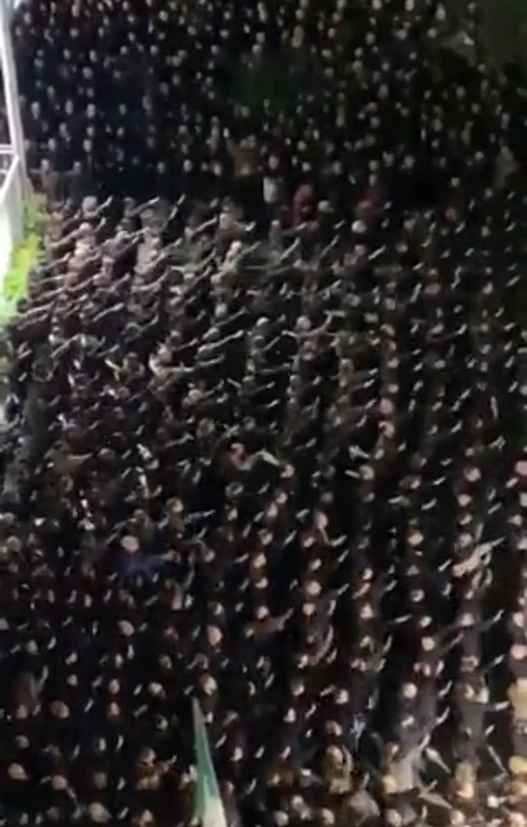 's tweet image. E' successo ieri, ma succede troppo spesso
Questo, come altri, non è raduno, ma un ritrovo dichiaratamente fascista. E' un reato, un crimine, una scena intollerabile in un Paese civile e DEMOCRATICO
Dov'è la #Digos?
@GiorgiaMeloni
#VivalItaliaAntifascista 
#Fascisti_e_Vigliacchi