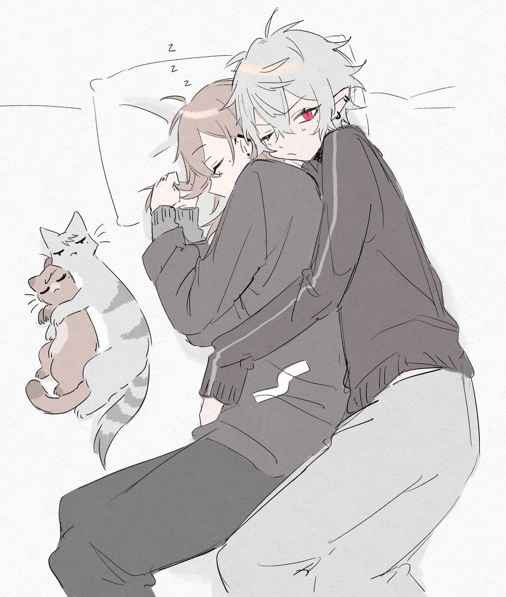 😴🐈