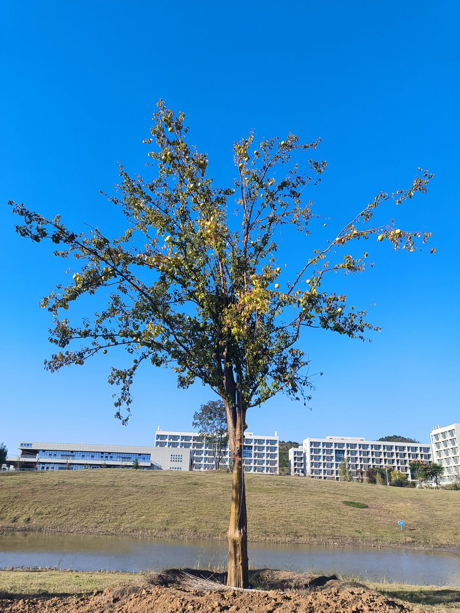彼此温柔 tweet media
