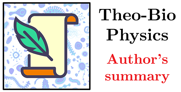 TheoBiophysics's tweet photo. 📝 Starting the year 2024 with a New Author Summary #TBauthorssummary

Fingering Instability Accelerates Population Growth of a Proliferating Cell Collective - Yiyang Ye (叶毅扬) and Jie Lin (林杰) @jielinphysics - Physical Review Letters

https://t.co/vVT1VVjHZa https://t.co/1AitfRl6sh