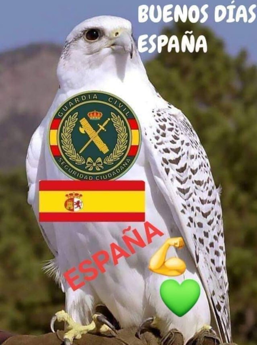 BUENOS DÍAS ESPAÑA 
FELIZ INICIO DE SEMANA UN