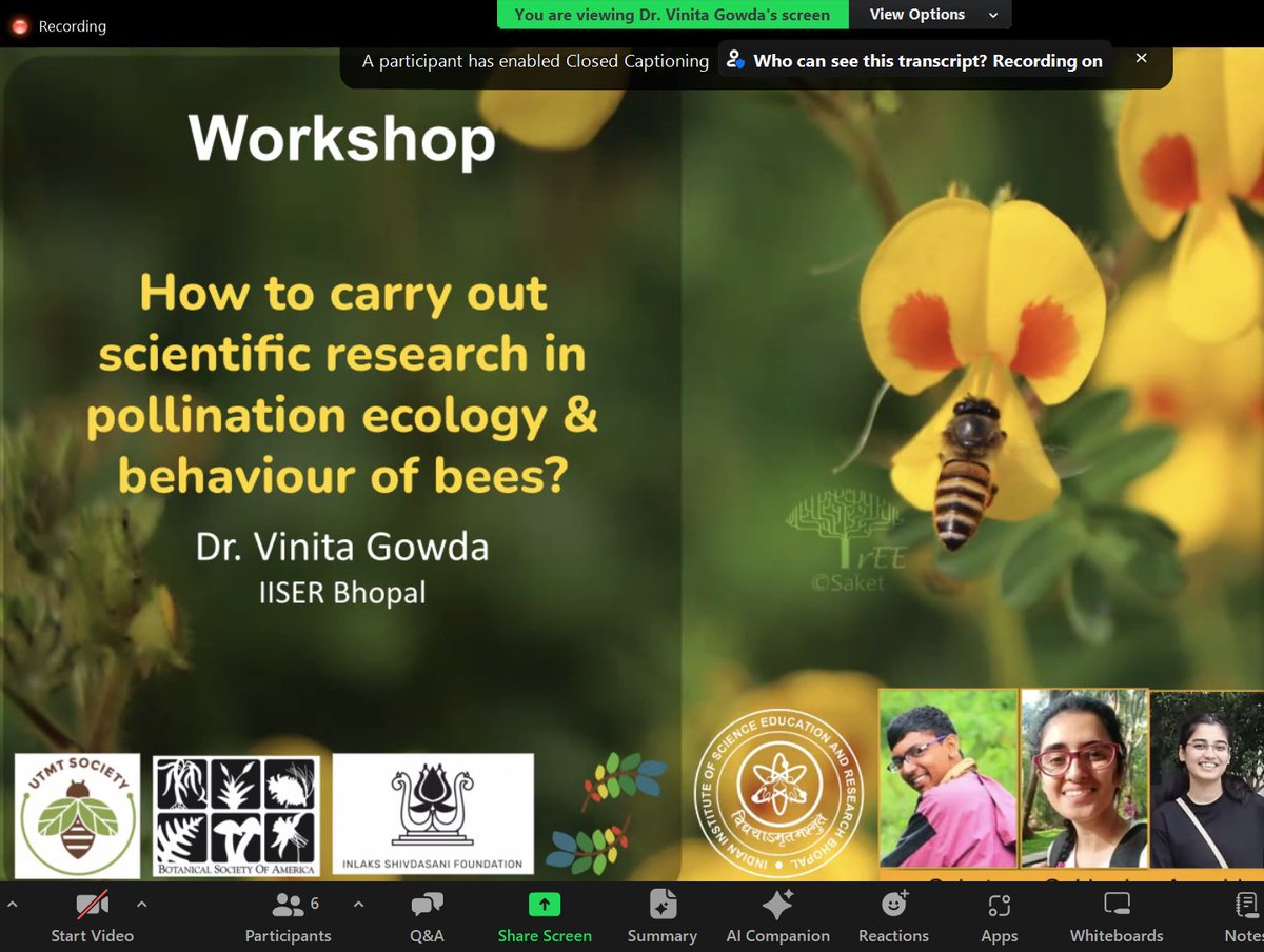 TrEE Lab (@tree_lab) on Twitter photo We conducted a workshop at #madhuDuniya 2023🍯 in Vietnam. <a href="/vinita_gowda/">Vinita Gowda: Success has never been my weakness</a>, <a href="/saaaakeeeet/">Saket Shrotri🌱🏵🐝</a>, <a href="/sukhrajkaur_13/">Sukhraj Kaur</a> and <a href="/A_Saqcena/">Anushka Saqcena</a> presented on “How to carry out scientific research in pollination ecology and behaviour of bees?” by focusing on WHY & HOW to study plants 🌿🌸🌼🐝
<a href="/Botanical_/">Botanical Society of America</a> We conducted a workshop at #madhuDuniya 2023🍯 in Vietnam. <a href="/vinita_gowda/">Vinita Gowda: Success has never been my weakness</a>, <a href="/saaaakeeeet/">Saket Shrotri🌱🏵🐝</a>, <a href="/sukhrajkaur_13/">Sukhraj Kaur</a> and <a href="/A_Saqcena/">Anushka Saqcena</a> presented on “How to carry out scientific research in pollination ecology and behaviour of bees?” by focusing on WHY & HOW to study plants 🌿🌸🌼🐝
<a href="/Botanical_/">Botanical Society of America</a>