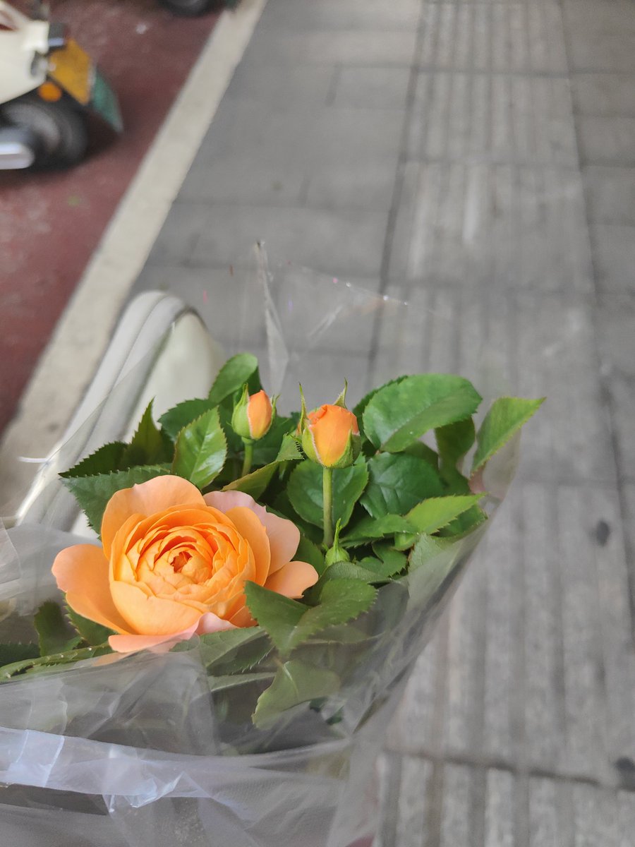 mary02666's tweet photo. 美甲很烂 
花好看 https://t.co/r7ejhJxRI9