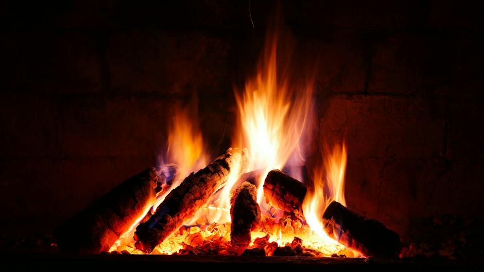 BranchOfficeUSA's tweet image. Order premium firewood from The Branch Office Tree Service in Libertyville. Order your supply and create cozy evenings by the fire. Visit the online order form. -  bit.ly/TBO_Firewood
#lakeforest
#lakebluff
#libertyville
#mettawa
#greenoaks
#firewood
#oakfirewood