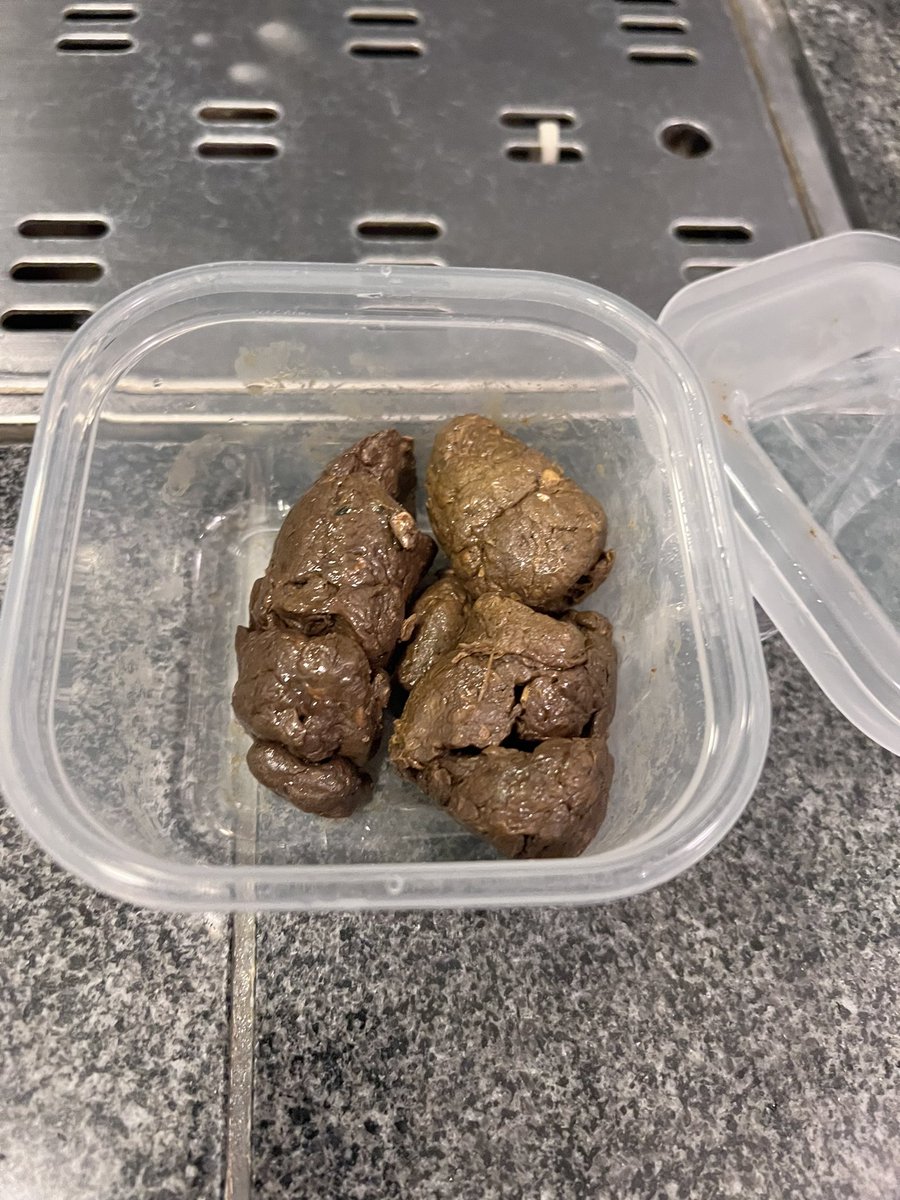 unkoskysky's tweet photo. うんち買い初め💩 https://t.co/m4r2r1Q5C3