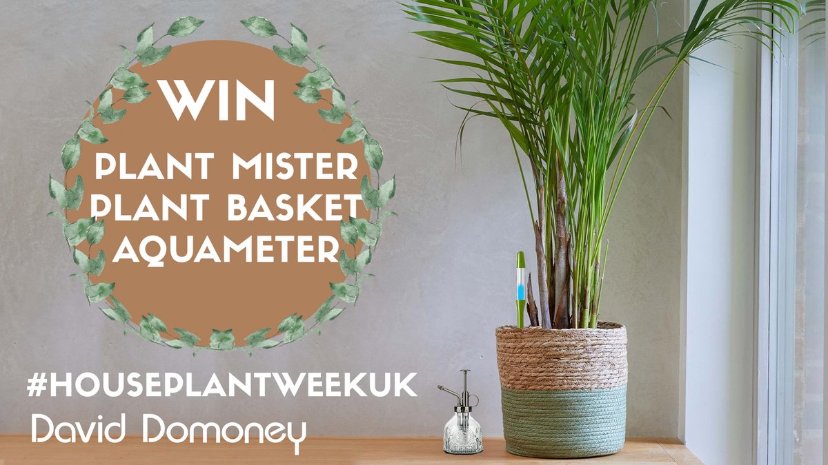 #Follow #RP #Like this post, and comment #houseplantweekuk

For a chance to win
1 x Woven Jute Plant Basket
1 x Set of two Aquameters
1 x Vintage style plant mister

Closes 14/01/24 at 11:59 PM
UK Residents Only
T&amp;C's Apply

🍀 Good Luck🍀 

 #winitwednesday #freebiefriday