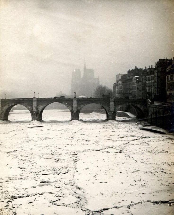 Notre-Dame et la Seine gelée. 1891. Paris