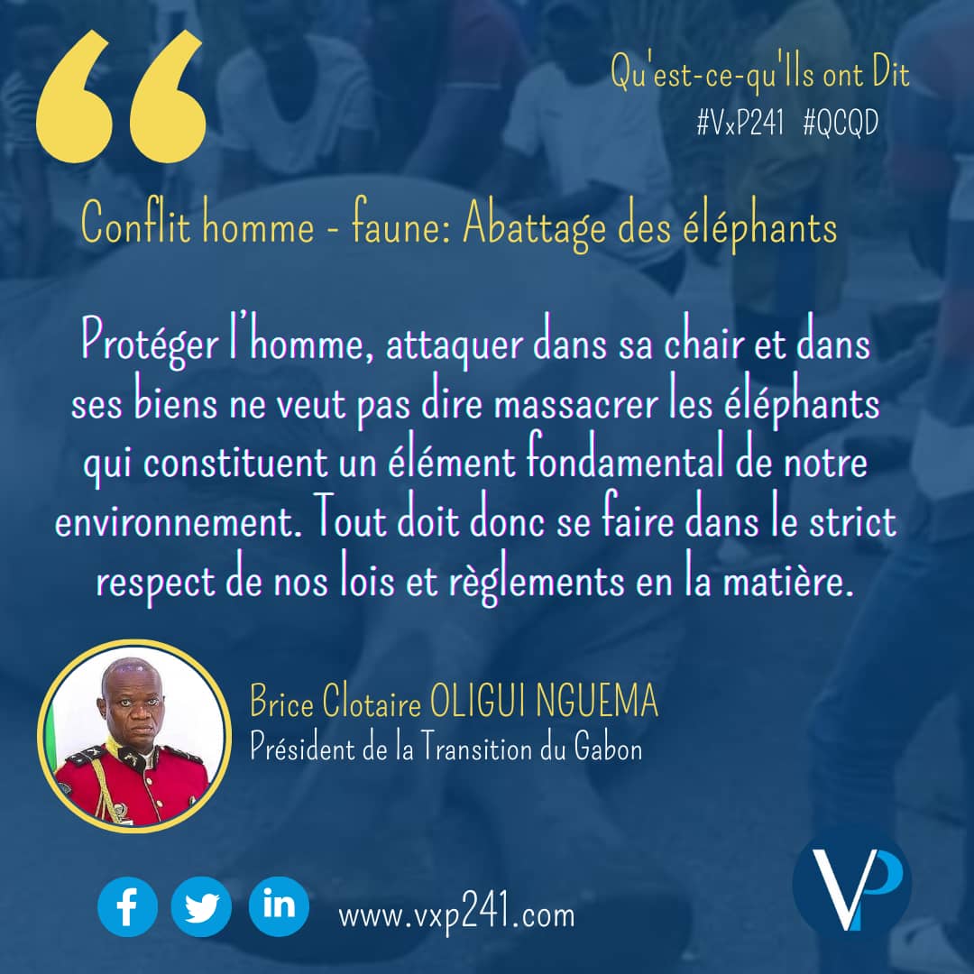 241Vox's tweet photo. 📍 #QU_EST_CE_QU_ILS_ONT_DIT🎙️ #QCQD 
𝚁𝚎𝚌𝚊𝚍𝚛𝚊𝚗𝚝 𝚜𝚘𝚗 𝚙𝚛𝚘𝚙𝚘𝚜 𝚌𝚘𝚗𝚌𝚎𝚛𝚗𝚊𝚗𝚝 𝚕'𝚊𝚋𝚊𝚝𝚝𝚊𝚐𝚎 𝚍𝚎𝚜 é𝚕é𝚙𝚑𝚊𝚗𝚝𝚜, 𝚕𝚎 𝙶é𝚗é𝚛𝚊𝚕 𝙱𝚛𝚒𝚌𝚎 𝙲𝚕𝚘𝚝𝚊𝚒𝚛𝚎 𝙾𝙻𝙸𝙶𝚄𝙸 𝙽𝙶𝚄𝙴𝙼𝙰 𝚊 𝚙𝚛é𝚌𝚒𝚜é 𝚚𝚞𝚎  👇
#Gabon
#VXP241 https://t.co/faVfcrEsYO