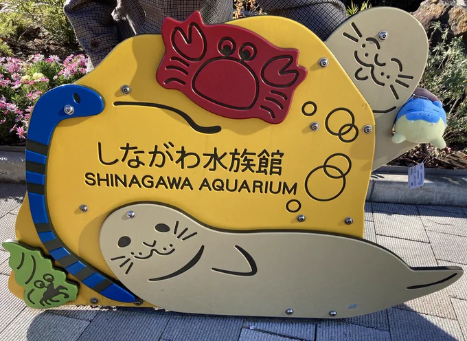 タマザラシ、アザラシに会う🦭
withヌオーちゃん 