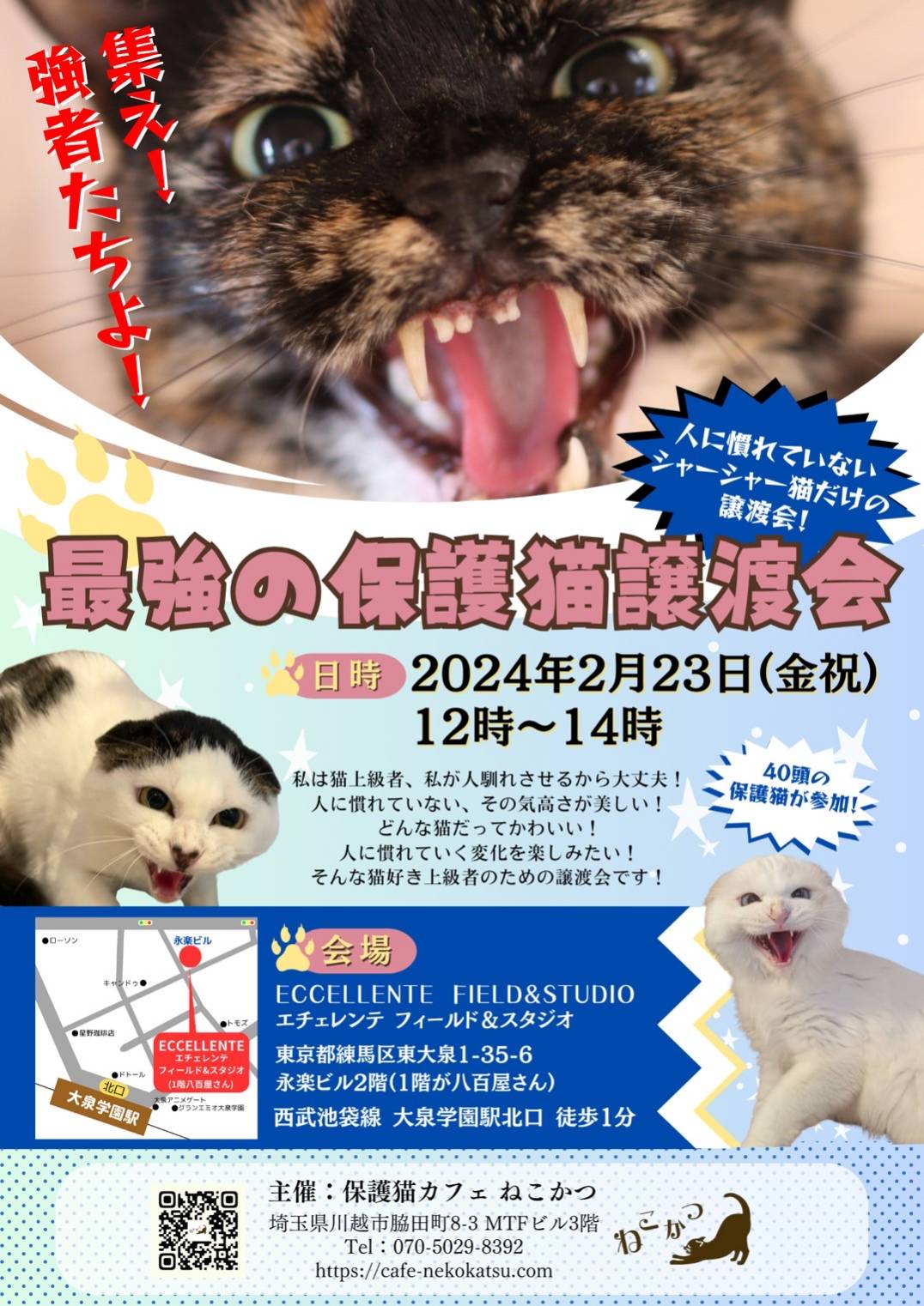 保護猫カフェねこかつ@川越@大宮日進 on X: 
