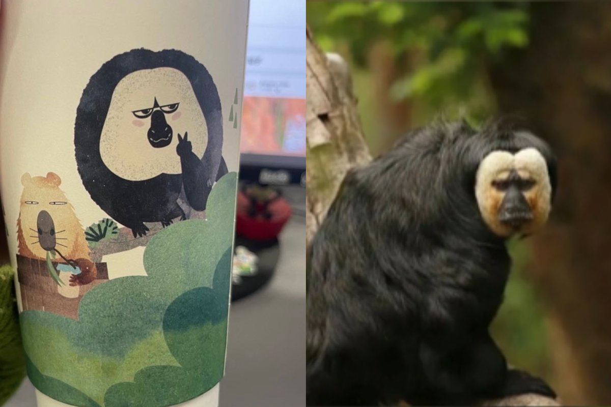 Jiangsuandyoude's tweet photo. Der Hongshan-Zoo in #Nanjing arbeitet mit einer chinesischen Teemarke zusammen und bietet die Tassen an, die mit interessanten und niedlichen Cartoon-Tiermotiven bedruckt sind. #Wildlife #hongshanforestzoo @heytea #CultureJS @VisitJiangsu @AMAZlNGNATURE https://t.co/lHOHpqvXf0