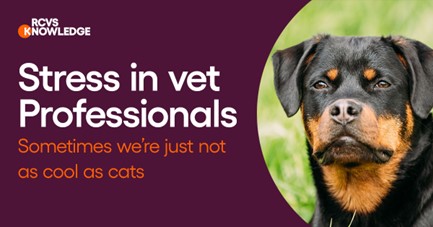 RCVSKnowledge's tweet photo. This first in a two-part special of our #QIFeatures looks at how sometimes we’re just not as cool as cats and how stress can affect us all in practice.
Check it out here: https://t.co/uCnqRhkbLd https://t.co/9URgwSek4e