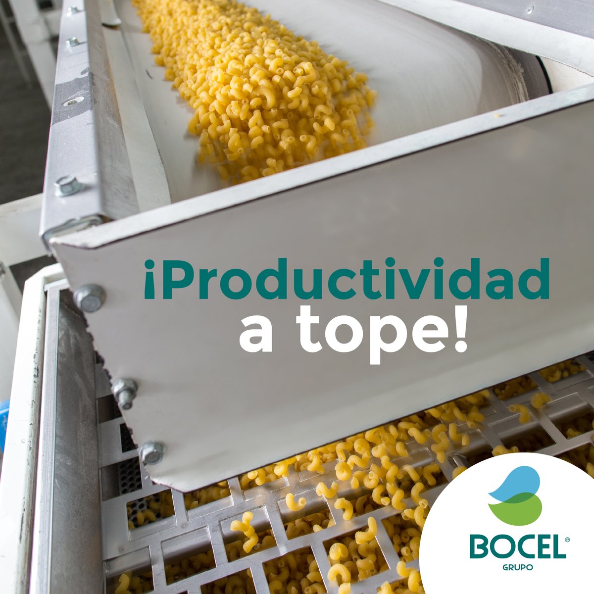 Grupo Bocel tweet media