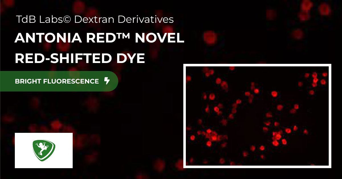 FroggaBio's tweet photo. Checkout the Antonia Red™ Fluorescent Derivatives by @LabsTdb — available now at FroggaBio! Elevate your research with these cutting-edge Antonia Red™ products, developed for precision and reliability. 🐸🧪🔬
LEARN MORE: https://t.co/tswkdOV5kN
#AntoniaRed #Dextran #FroggaBio https://t.co/dbypWknyih