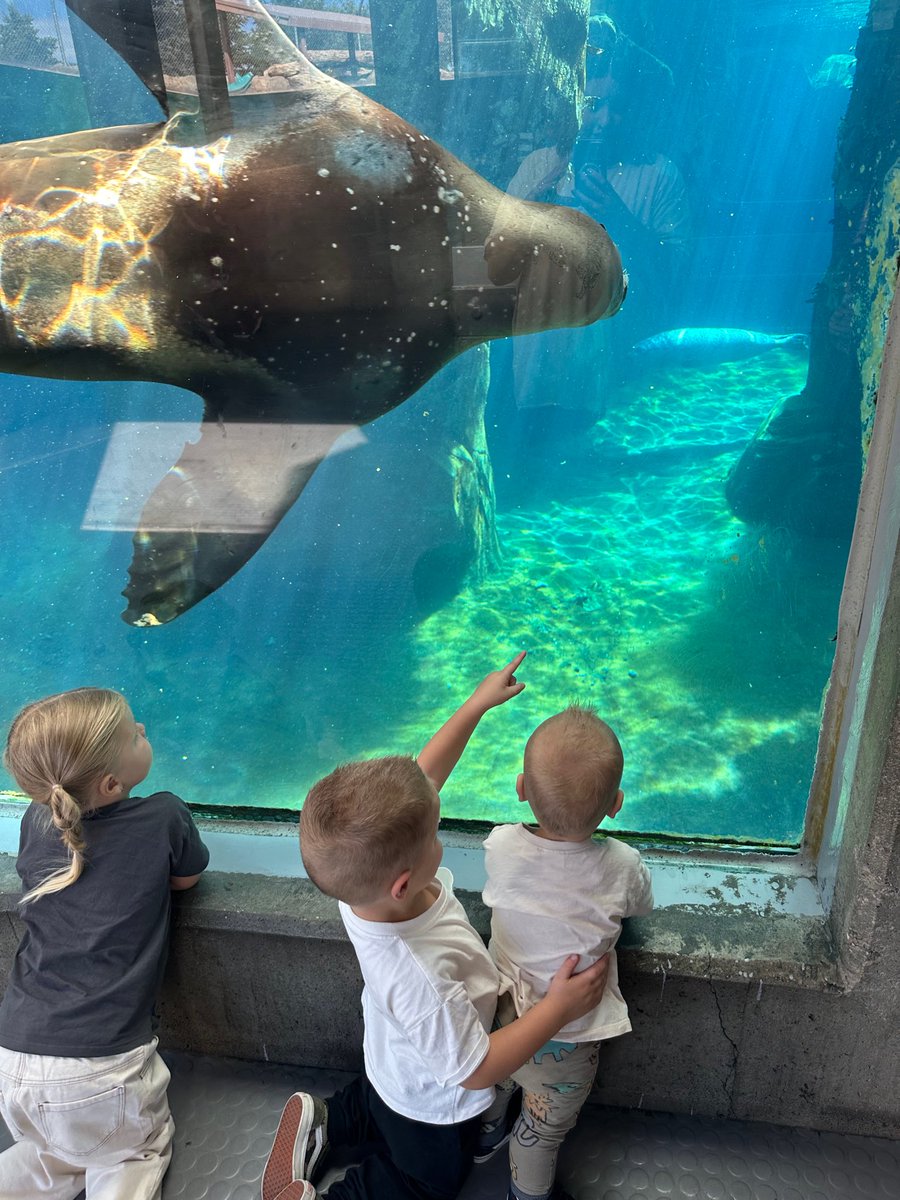 Oh it is so fun to see them explore everything around them and experience new adventures! What an amazing world we live in.🌿🐟

#NatureExplorers #FutureStewards #taxes #taxadvisor #business #money #accounting #savemoney #entrepreneur #workhard #taxexpert #businessadvice